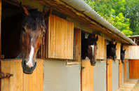 free Allerford stable construction quotes